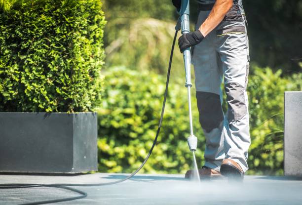 Best Solar Panel Cleaning  in Spring Valley, CA